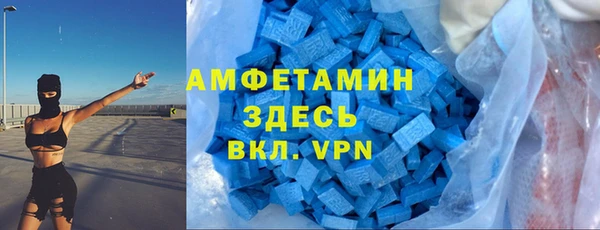 шишки Белокуриха