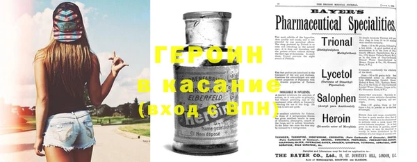 шишки Белокуриха