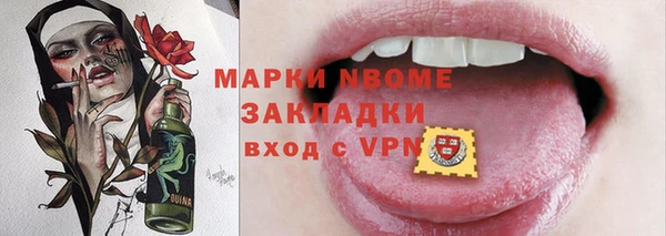 шишки Белокуриха