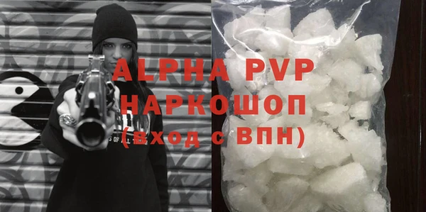 прущие грибы Беломорск