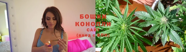 шишки Белокуриха