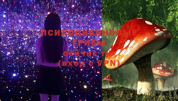 прущие грибы Беломорск