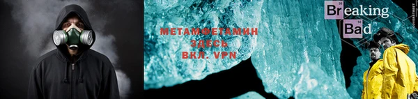 шишки Белокуриха