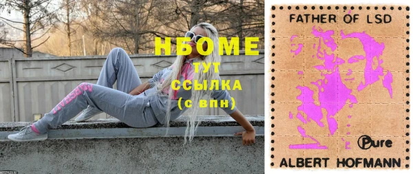 шишки Белокуриха