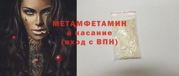 прущие грибы Беломорск