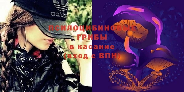 шишки Белокуриха