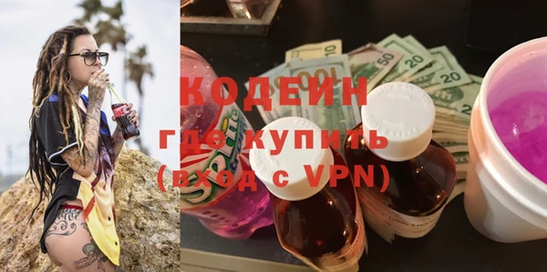 шишки Белокуриха