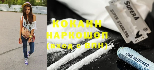 прущие грибы Беломорск
