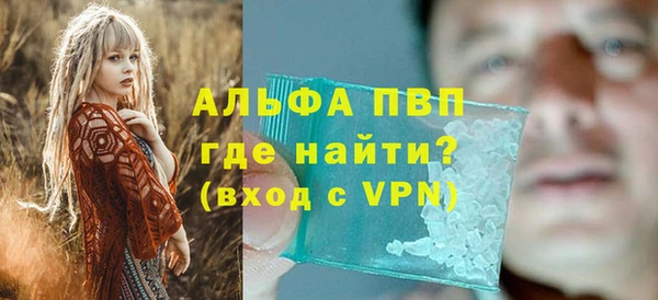 шишки Белокуриха
