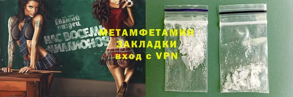 шишки Белокуриха
